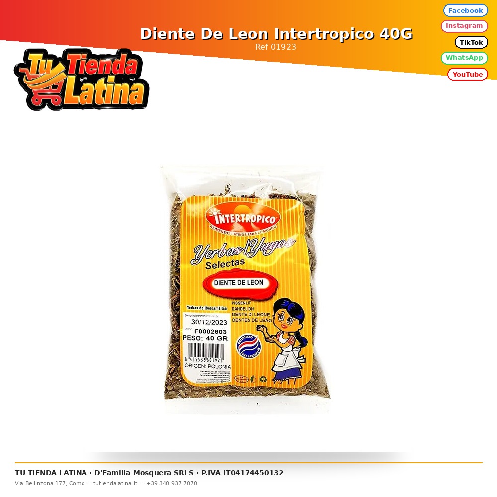 Intertropical Dandelion 40G
