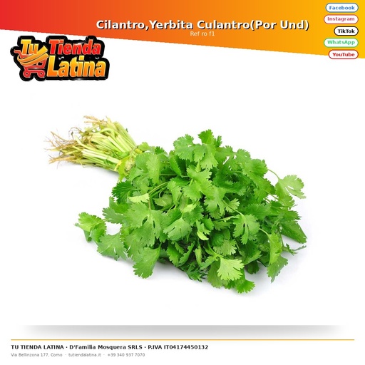 [ro f1] Cilantro,Yerbita Culantro(Por Und)